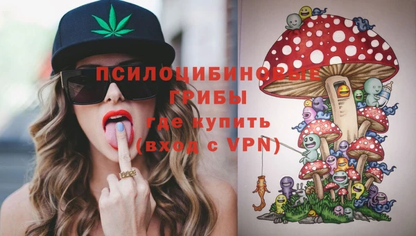 мдпв Анжеро-Судженск