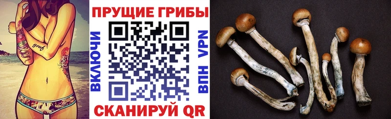 Галлюциногенные грибы MAGIC MUSHROOMS где купить наркоту Холм